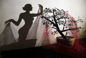 Картинки игра теней.. Теневой силуэт девушки, созданный при помощи бонсаи и лоскутов ткани