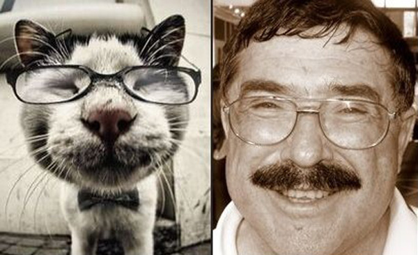 Кот в очках и Борис Бурда.