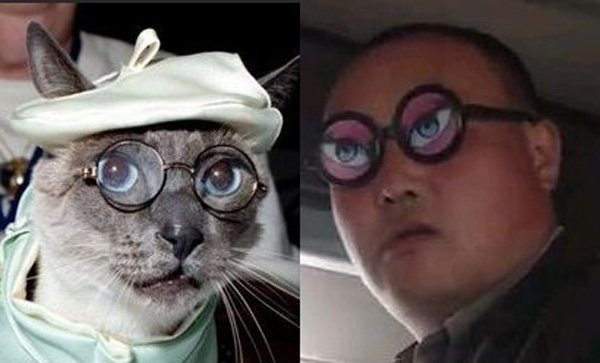 Кот в очках и торговец из Китая ("Очки н-н-нада?"