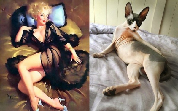 Картинки в стиле пин-ап. Девушка и грациозный котик