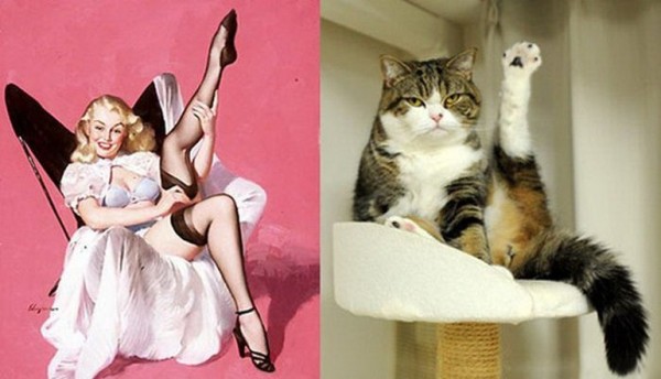 Картинки в стиле пин-ап. Девушка и котик лапка вверх