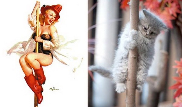 Картинки в стиле пин-ап. Девушка и котик на шесте