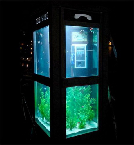 Телефонная будка -аквариум с рыбками