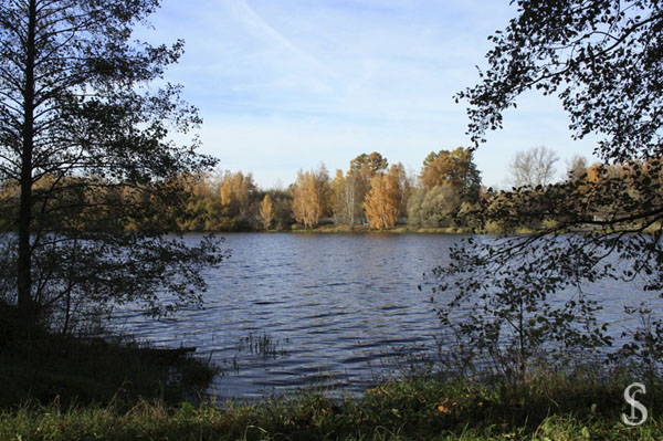 Осень на Малаховском озере, фото - Светлана Фонфрович
