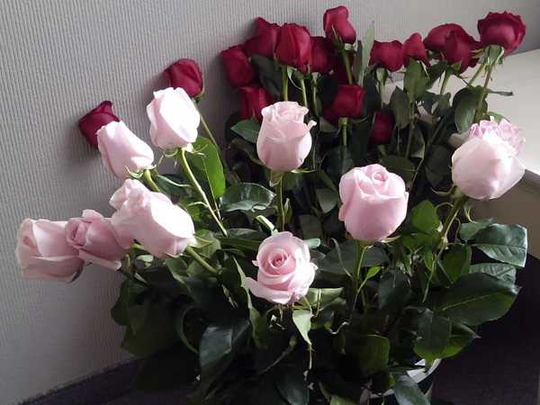Как сохранить розы свежими #PhotoByNoorySan (7)