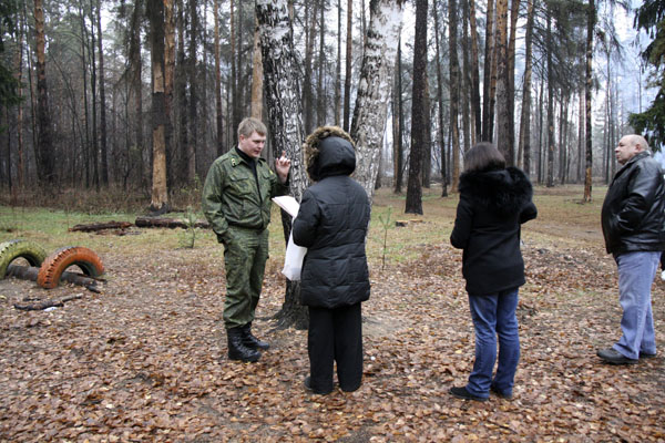 Рубка леса в Малаховке, 11.2014
