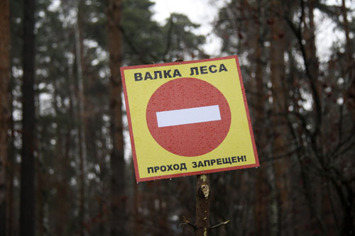 Вырубка леса в Малаховке