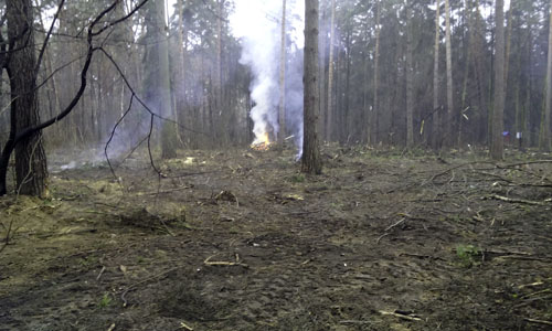 Рубка леса в Малаховке 2014 (5)