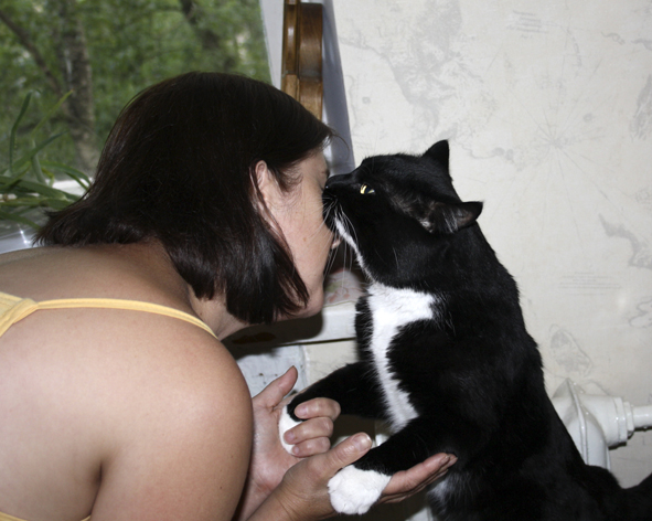 День-кота-кот-целуется.jpg