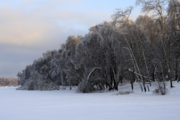 Зима на Малаховском озере - фото Светланы Доможировой